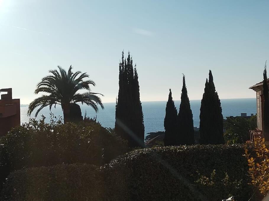 Residence De Luxe Sun Paradis, Studio Terrasse, Vue Mer Piscine Cannes Zewnętrze zdjęcie
